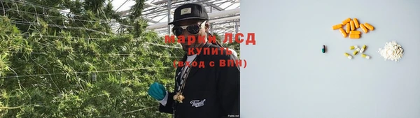 хмурый Алзамай