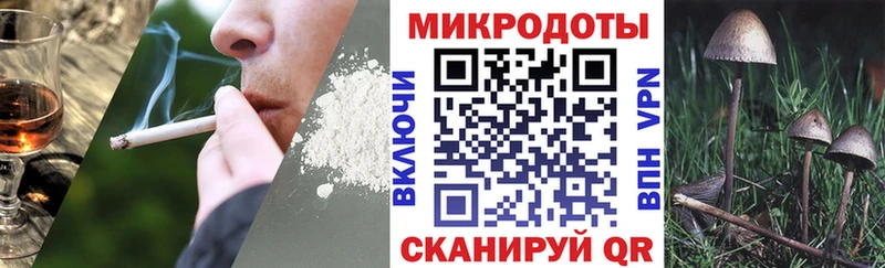 mega рабочий сайт Бологое Галлюциногенные грибы прущие грибы